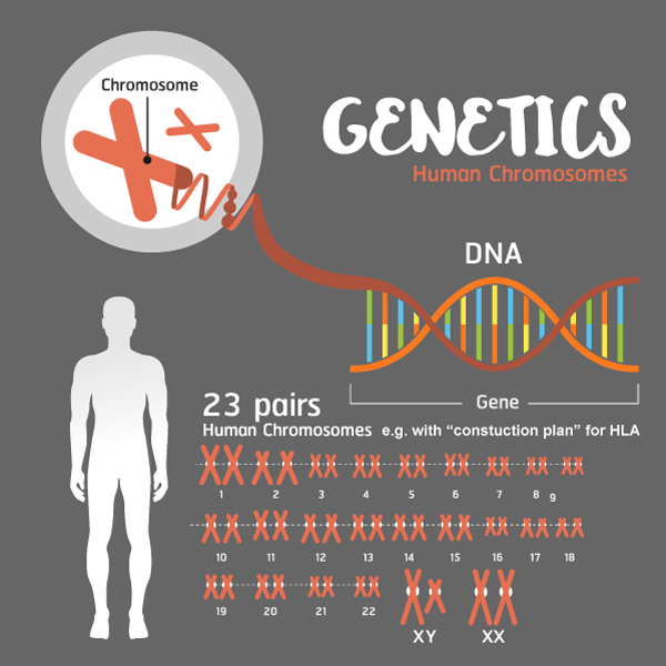 The genetic code of our body