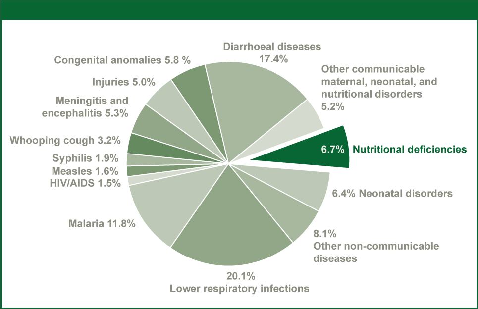Figure 2: Major causes of death in post neonatal (28-364 days) infants in 2010 for children of both sexes combined by cause