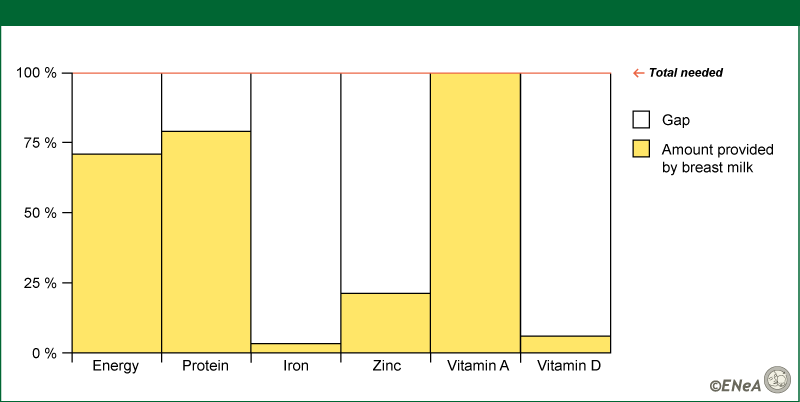 Figure 4: Percentage of a day´s needs at 6-8 months that can be met by breast milk and the gap complementary foods need to fill