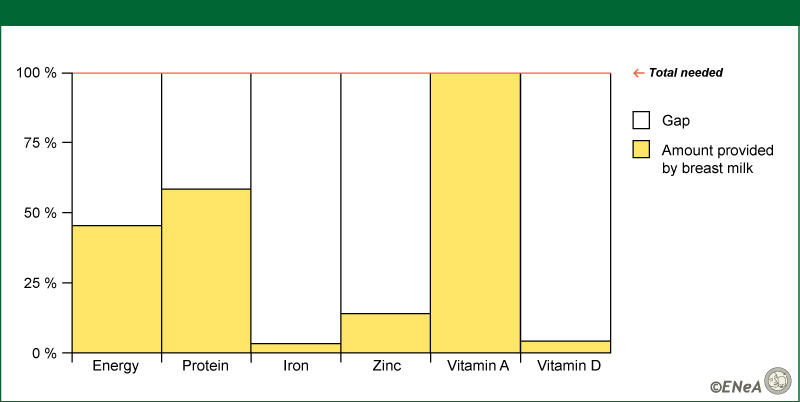 Figure 5: Percentage of a day´s needs at 9-11 months that can be met by breast milk and the gap complementary foods need to fill
