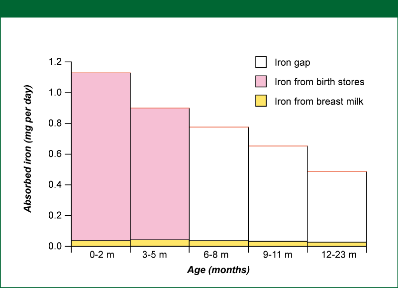 Figure 6: Absorbed iron needed (top line) and the amount from breast milk and body stores at birth.