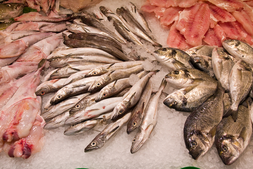 Fish