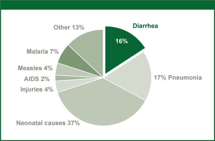 Figure 8: Diarrhea is the second most common cause of childhood mortality worldwide
