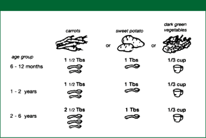 Figure 1: Amounts of vegetables required as complementary food to meet the child's Vitamin A requirements.