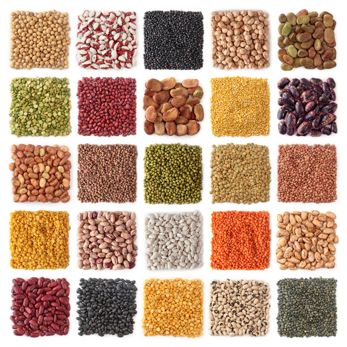 pulses and oil seeds