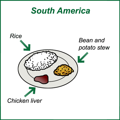 Plate South America